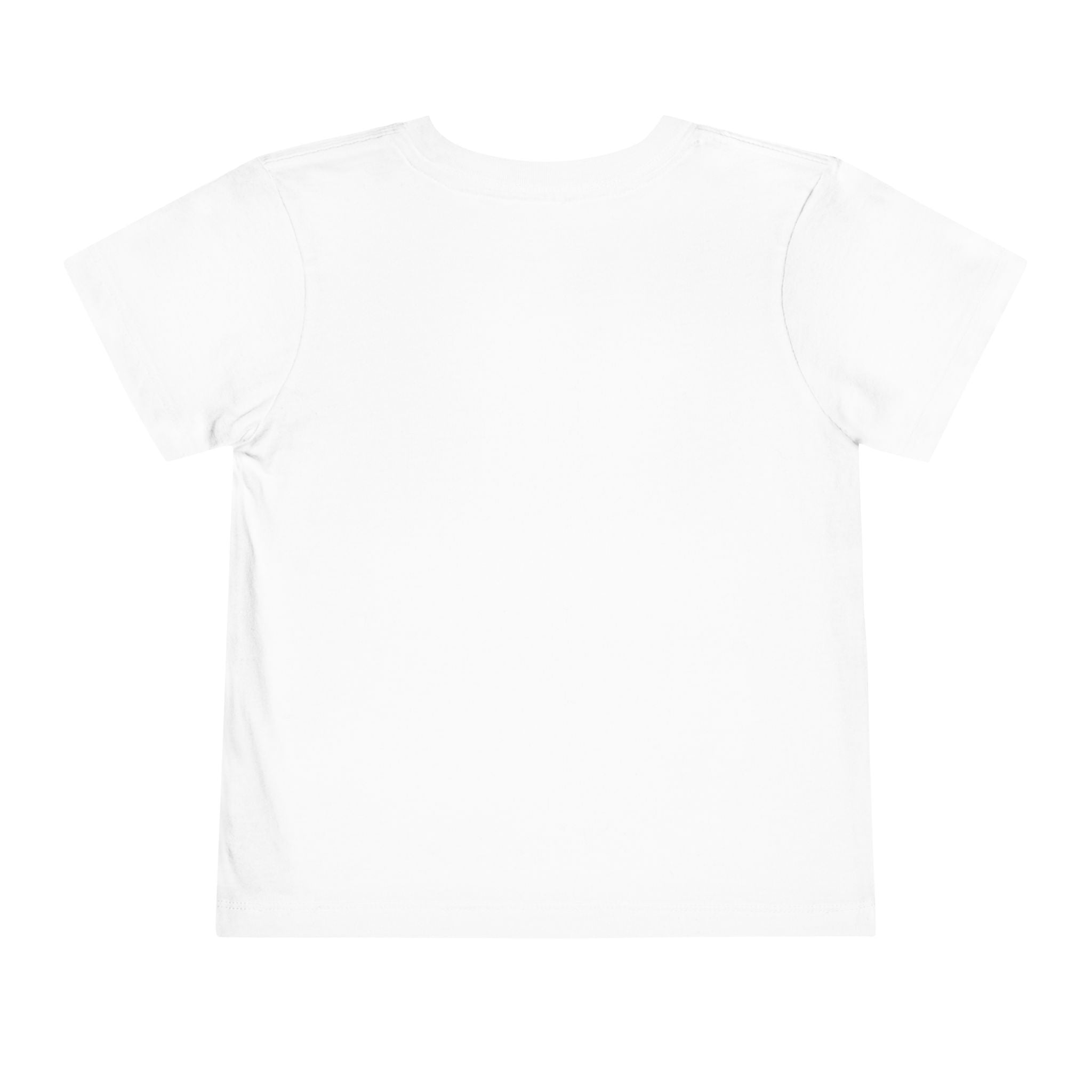 Toddler Tee — Albany Firebirds Logo Kids Shirt