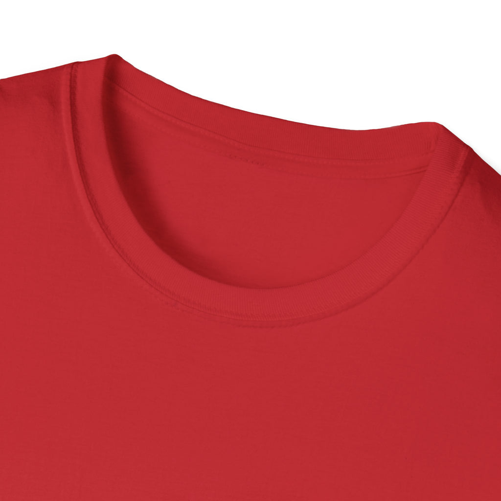Albany Firebirds Retro Logo T-Shirt — Vintage Sports Team Tee