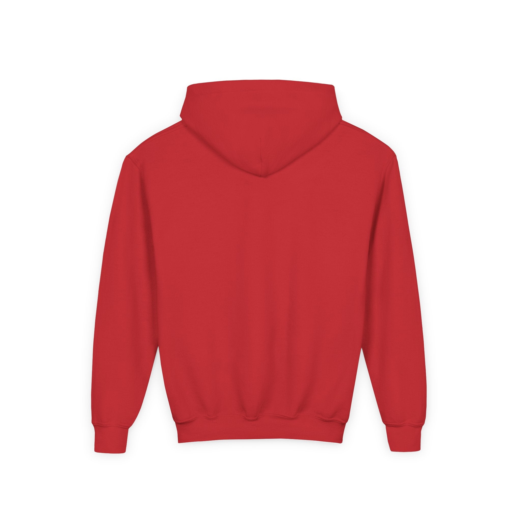 Youth Hoodie — Albany Firebirds Logo Pullover (Youth)