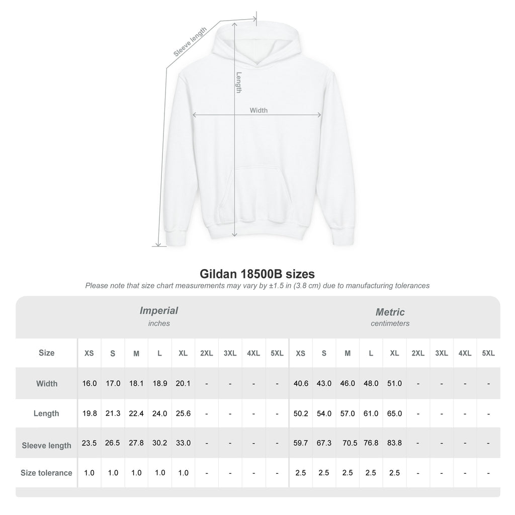 Youth Hoodie — Albany Firebirds Logo Pullover (Youth)