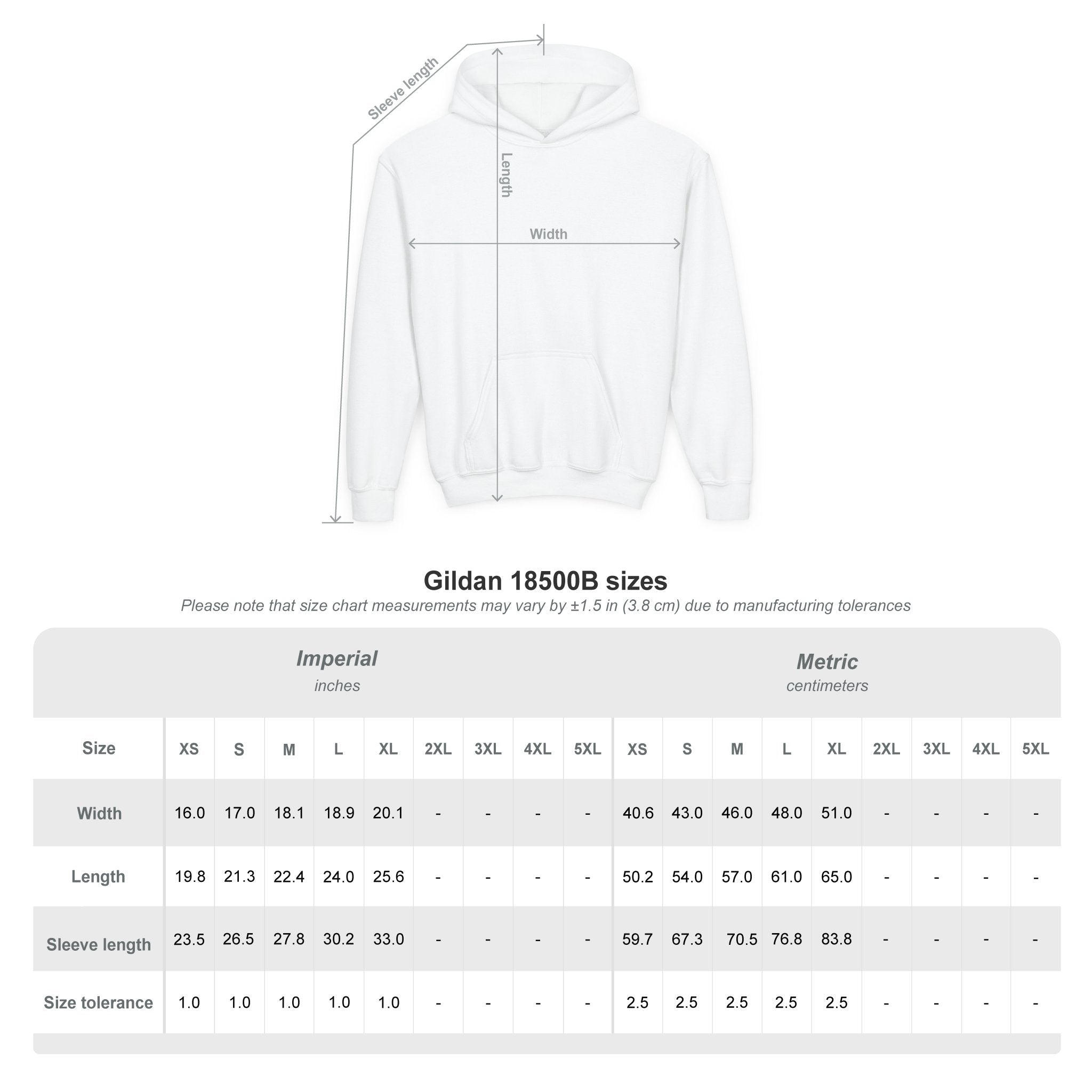 Youth Hoodie — Albany Firebirds Logo Pullover (Youth)