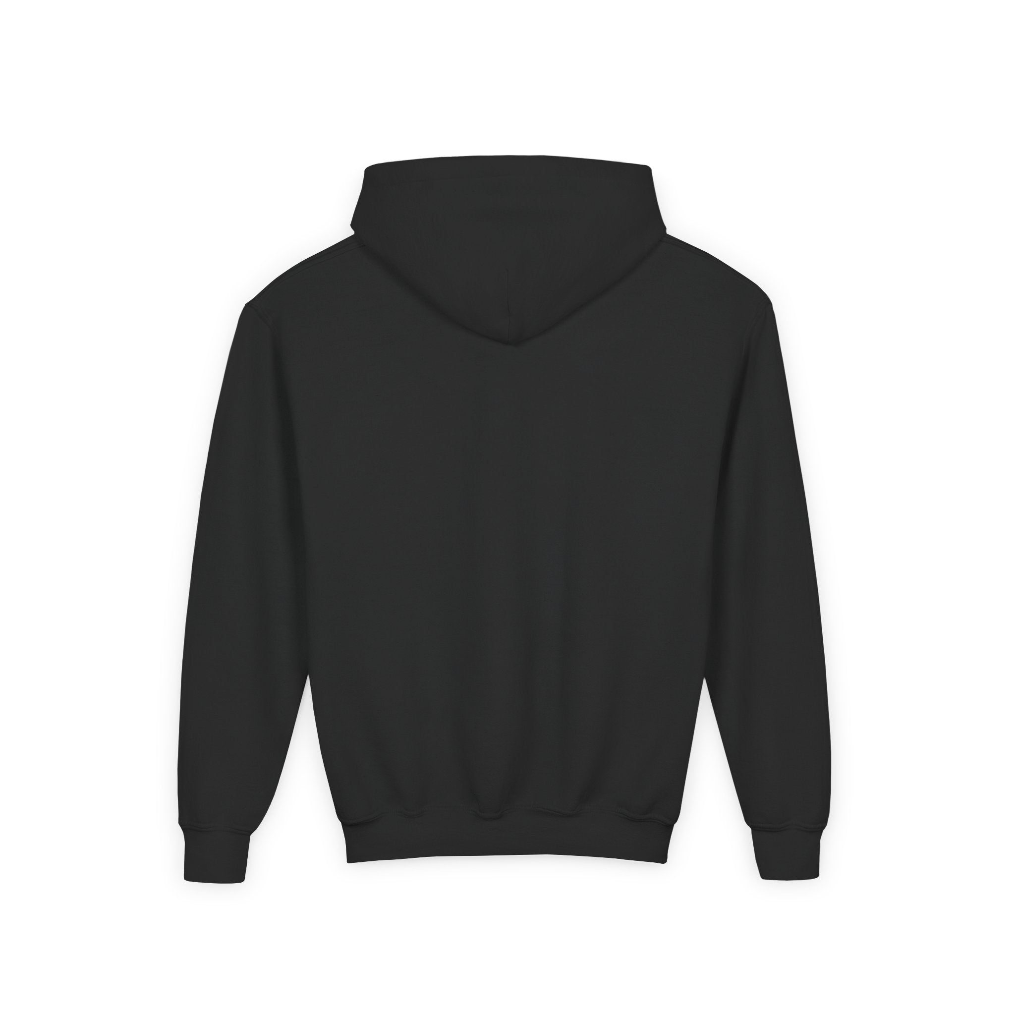 Albany Firebirds Youth Hoodie