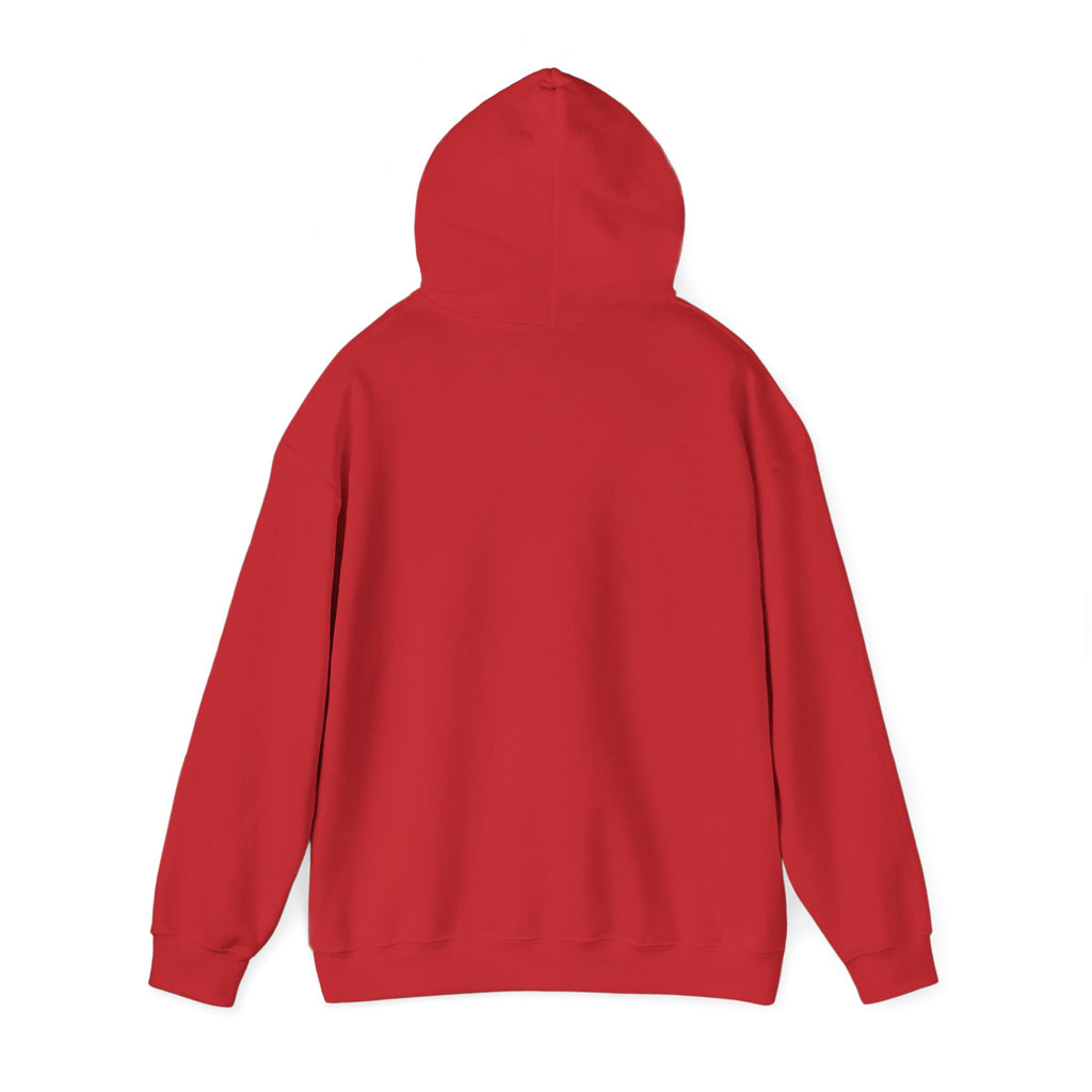 Albany Firebirds Hoodie
