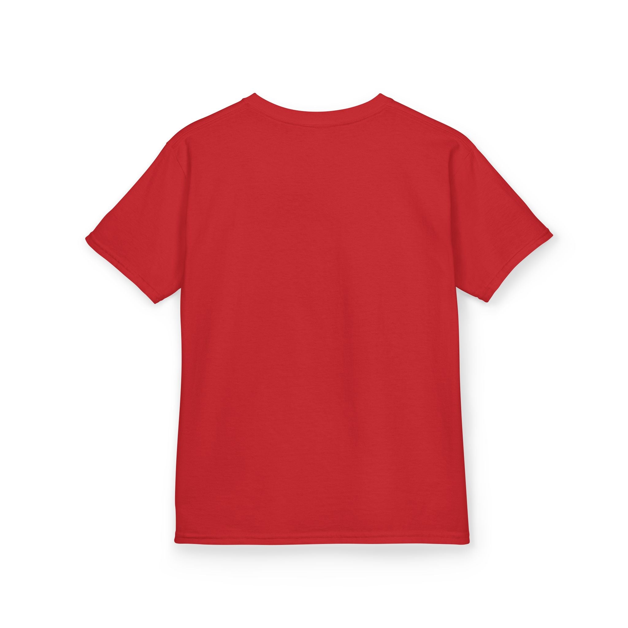 Albany Firebirds Kids T‑Shirt — Retro Sports Team Tee