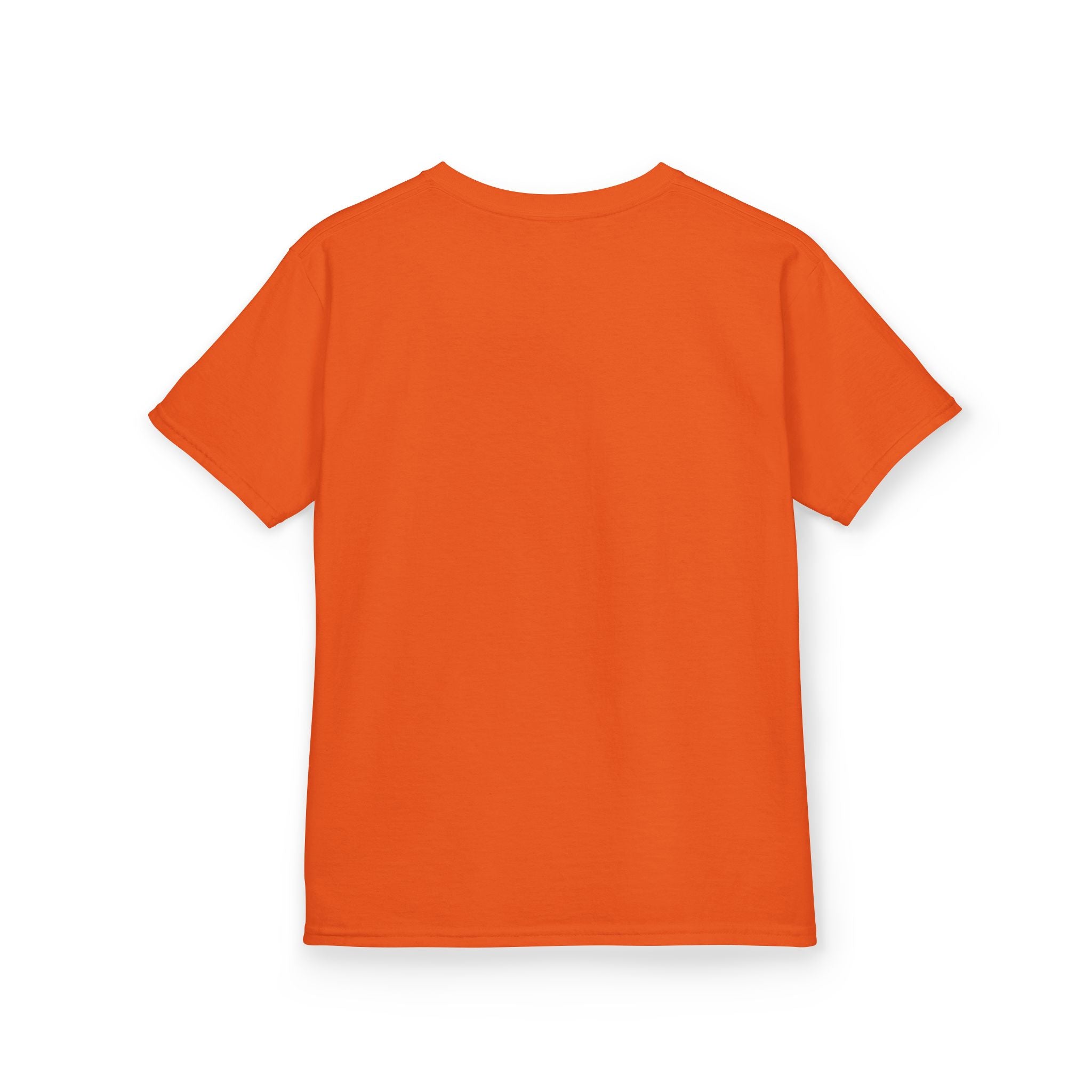 Albany Firebirds Kids T‑Shirt — Retro Sports Team Tee