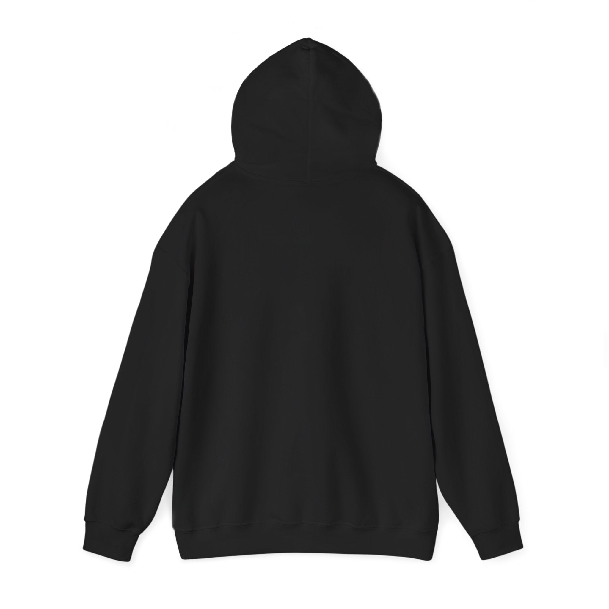 Albany Firebirds Hoodie