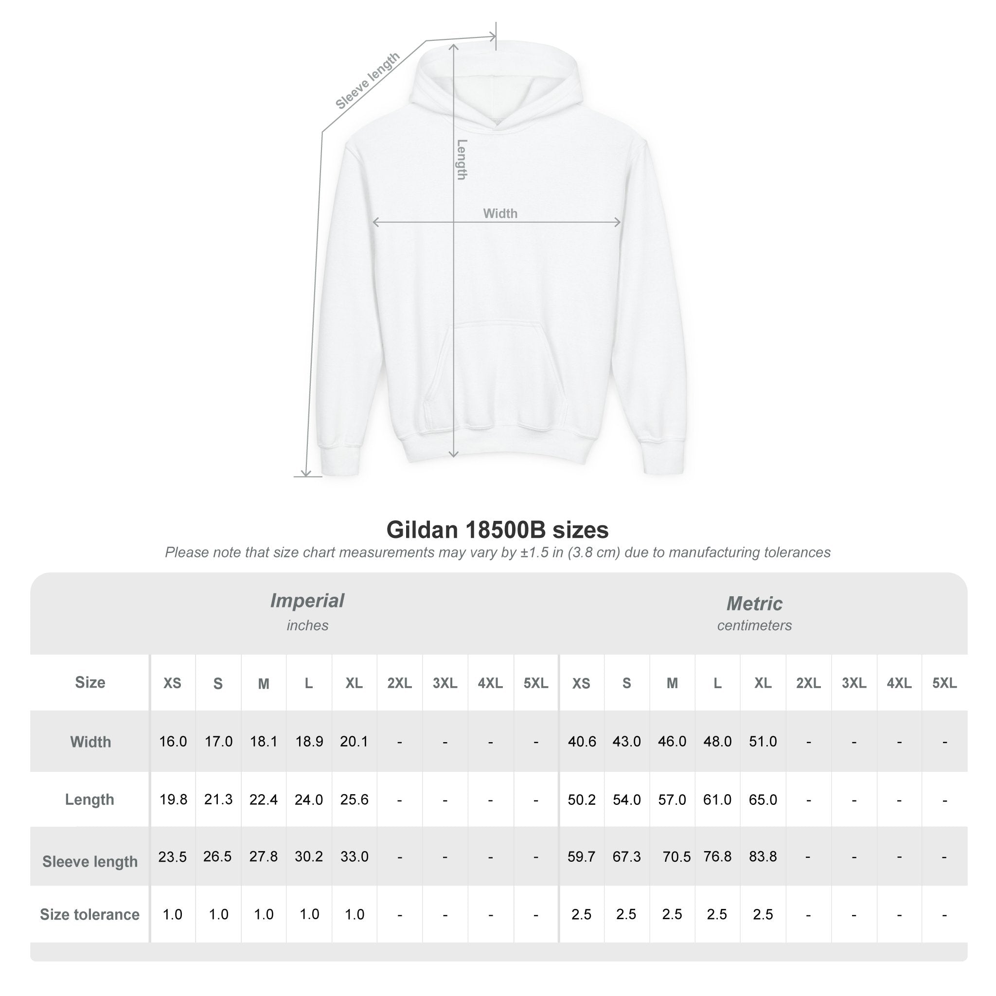 Albany Firebirds Youth Hoodie