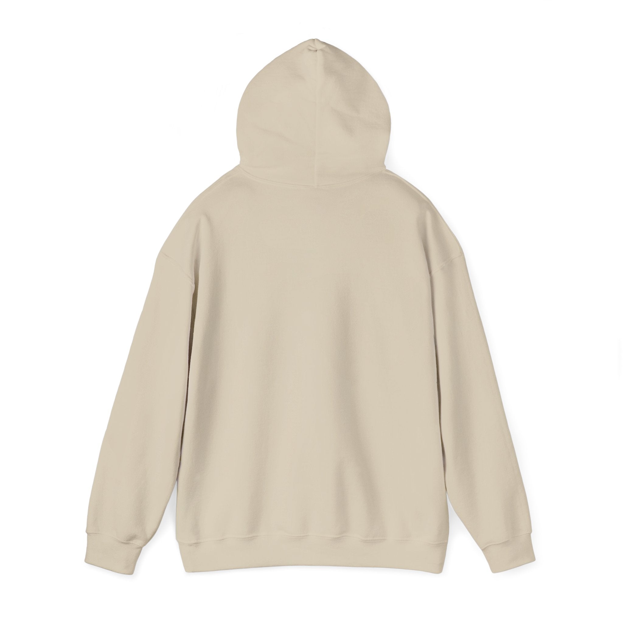 Firebirds Logo Hoodie