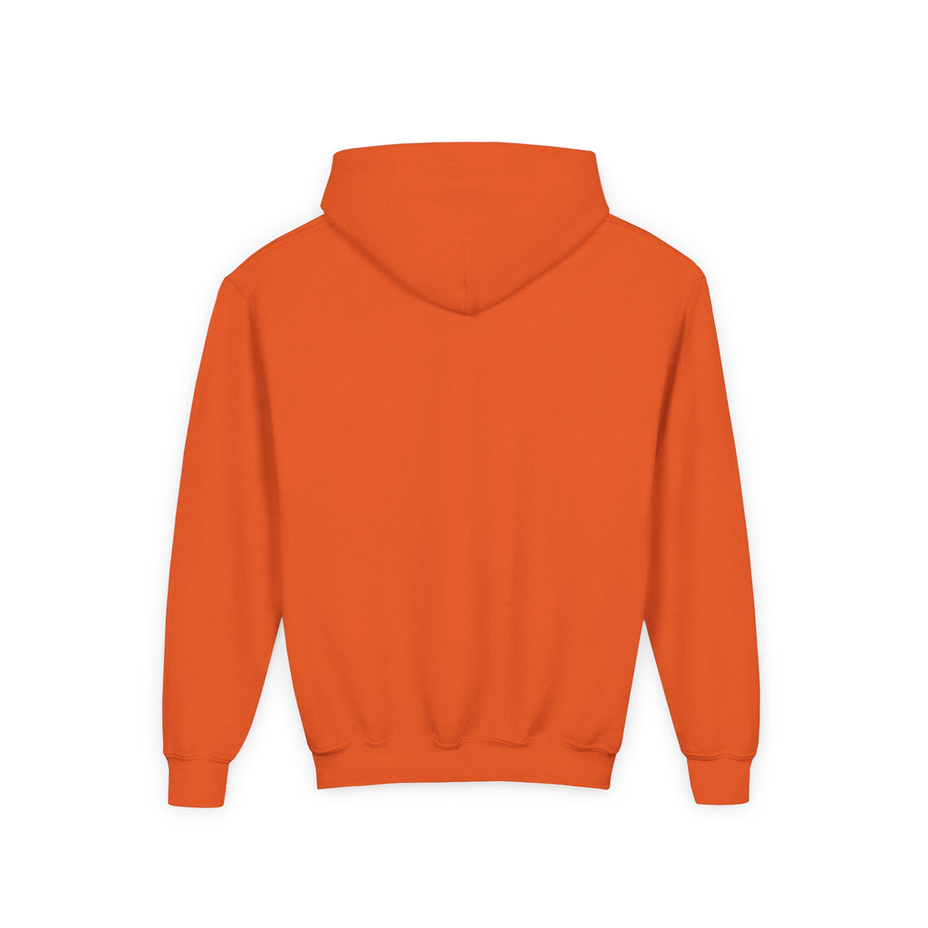 Youth Hoodie — Albany Firebirds Logo Pullover (Youth)