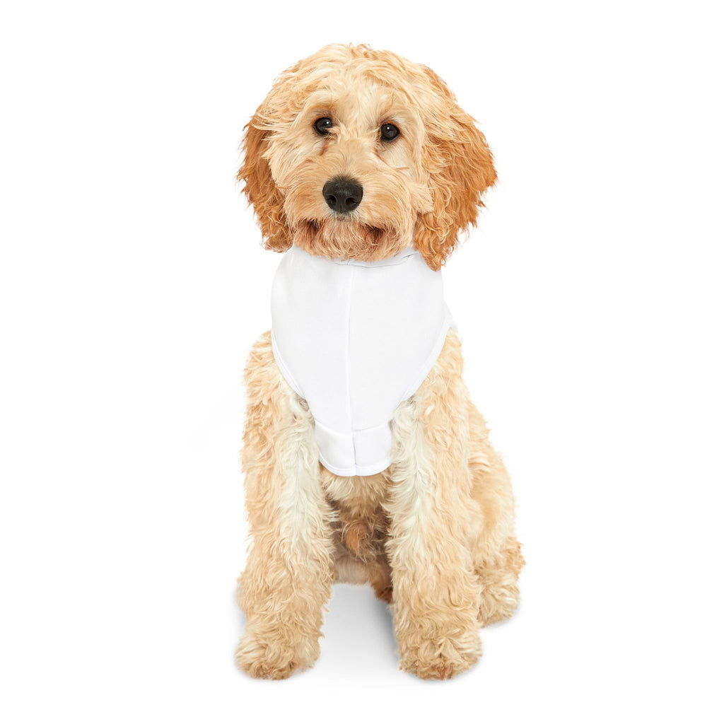 Albany Firebirds Pet Hoodie - Small Dog & Cat Team Logo Sweatshirt