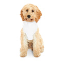 Albany Firebirds Pet Hoodie - Small Dog & Cat Team Logo Sweatshirt