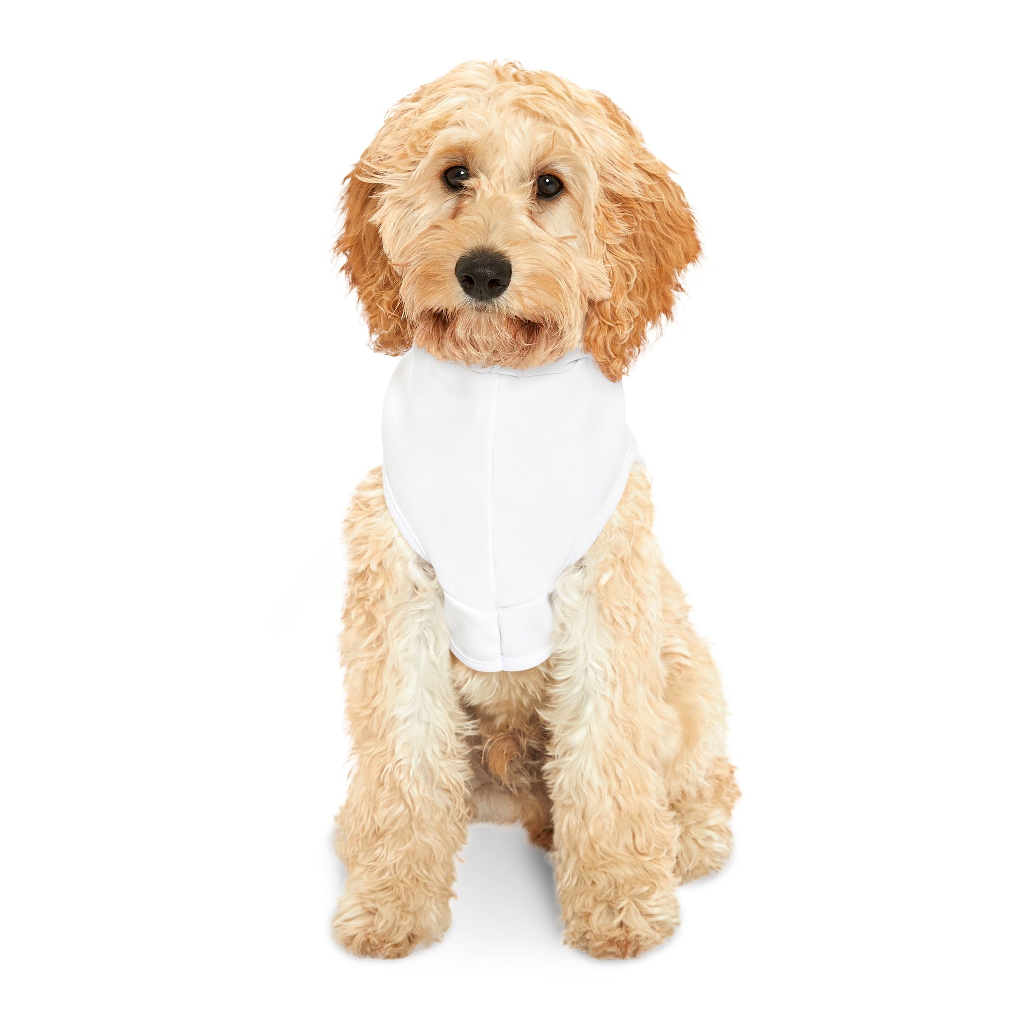 Albany Firebirds Pet Hoodie - Small Dog & Cat Team Logo Sweatshirt