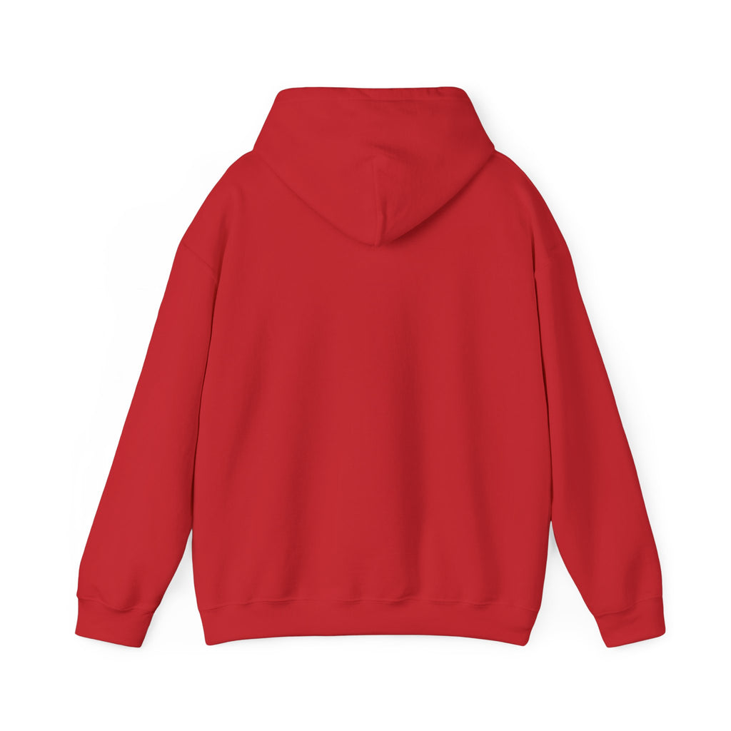 Albany Firebirds Hoodie — Retro Arcade Sports Logo Pullover