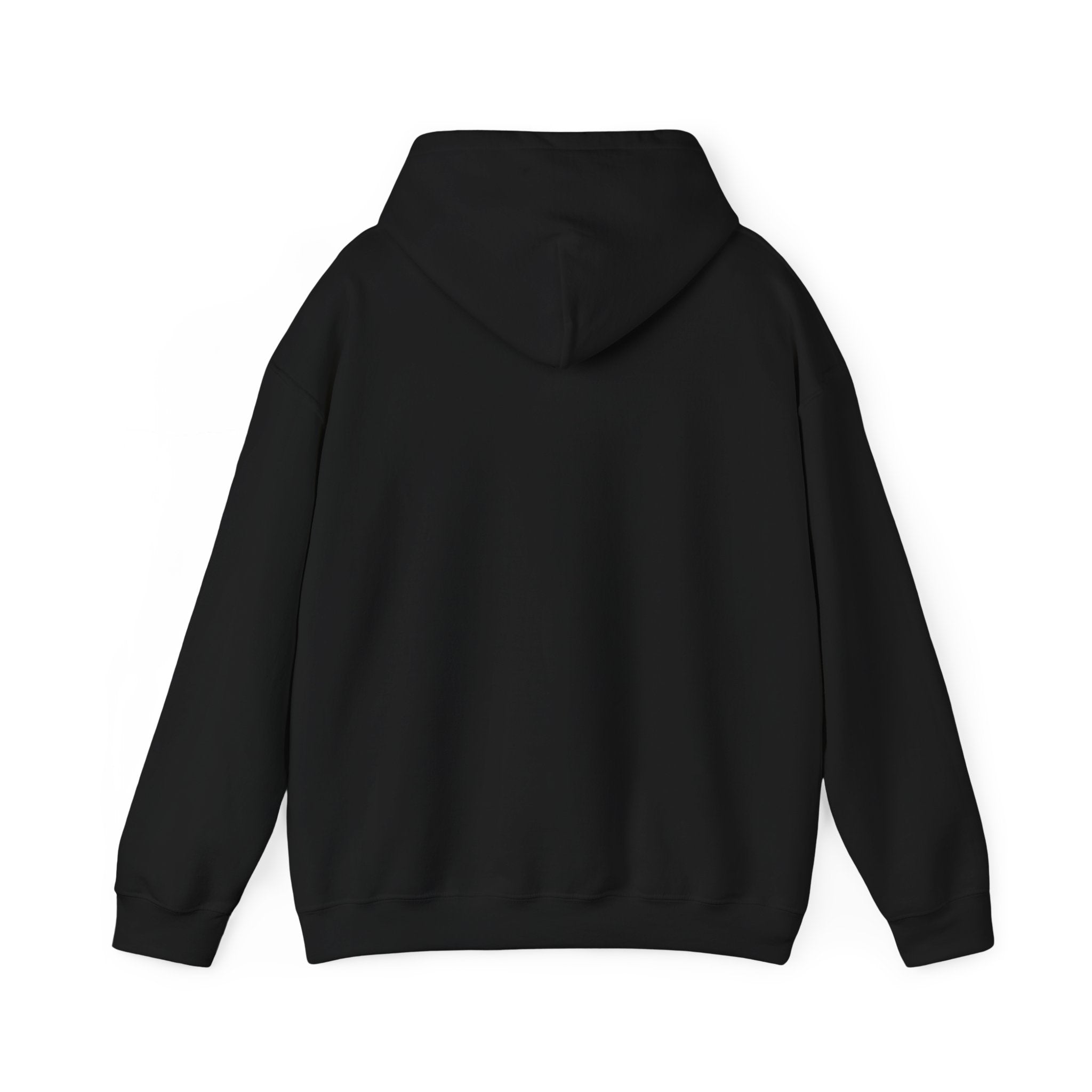 Albany Firebirds Hoodie