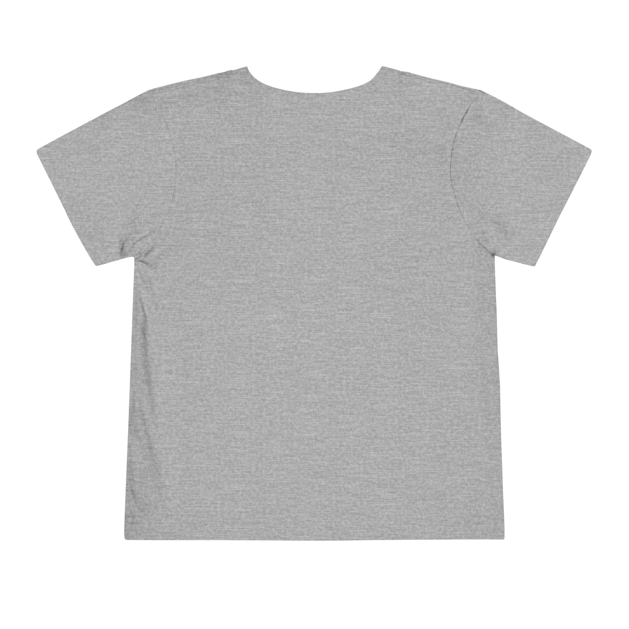 Toddler Tee — Albany Firebirds Logo Kids Shirt