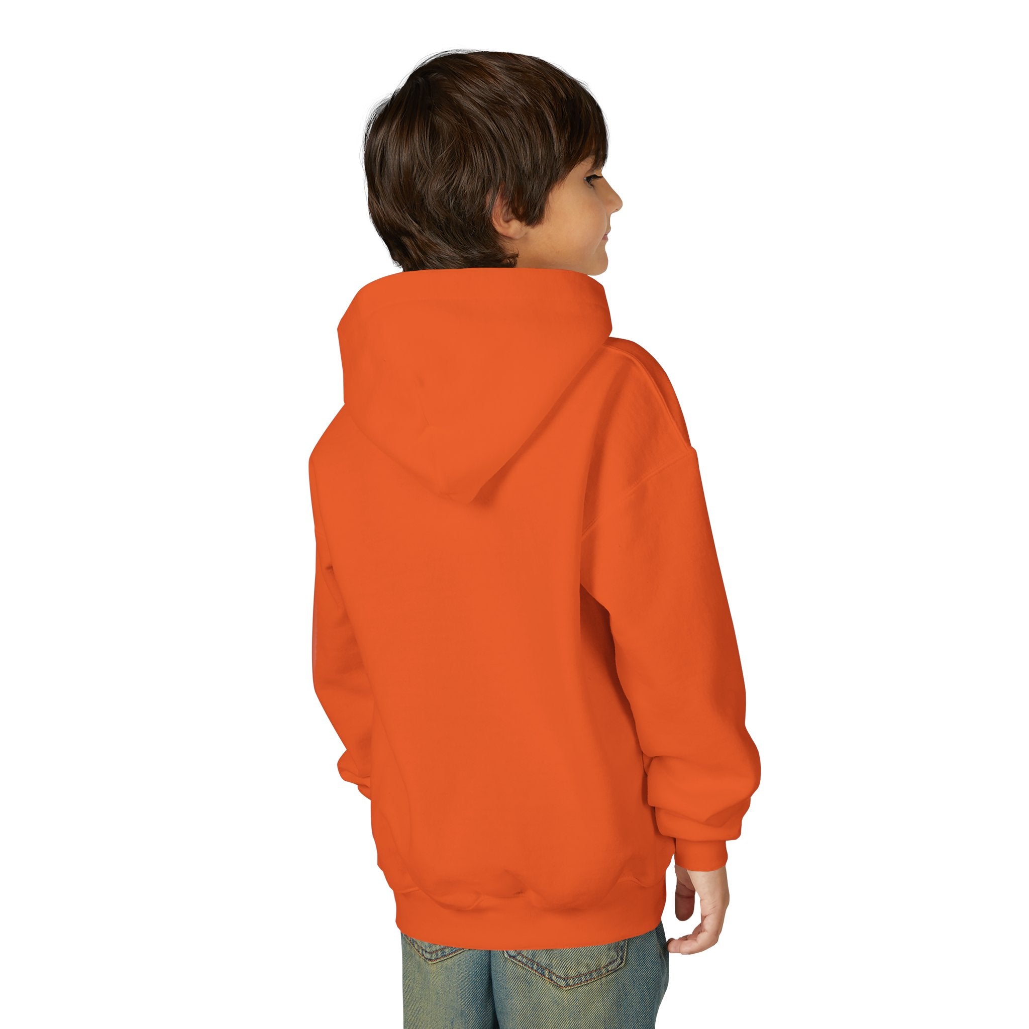 Youth Hoodie — Albany Firebirds Logo Pullover (Youth)