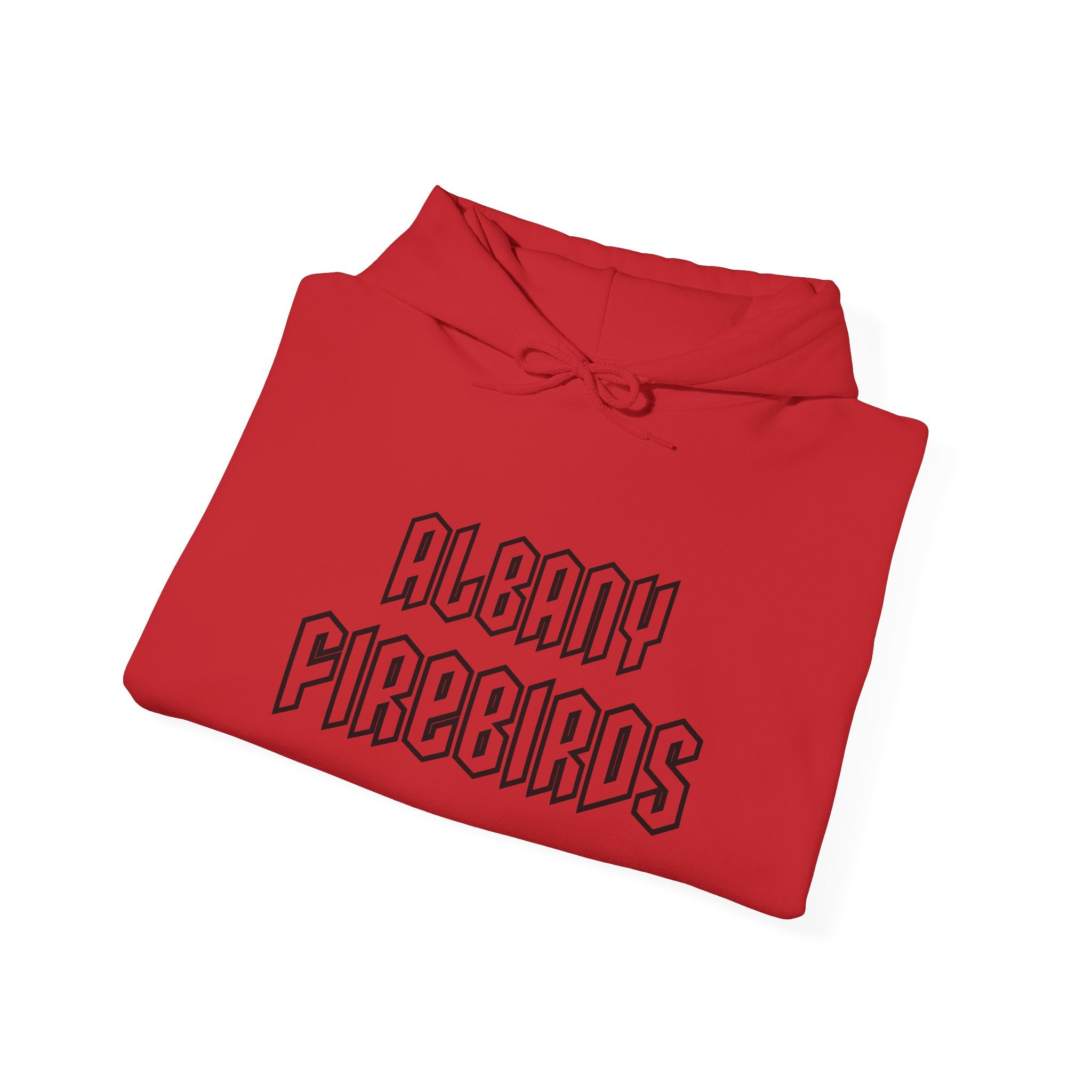 Albany Firebirds Hoodie — Retro Arcade Sports Logo Pullover