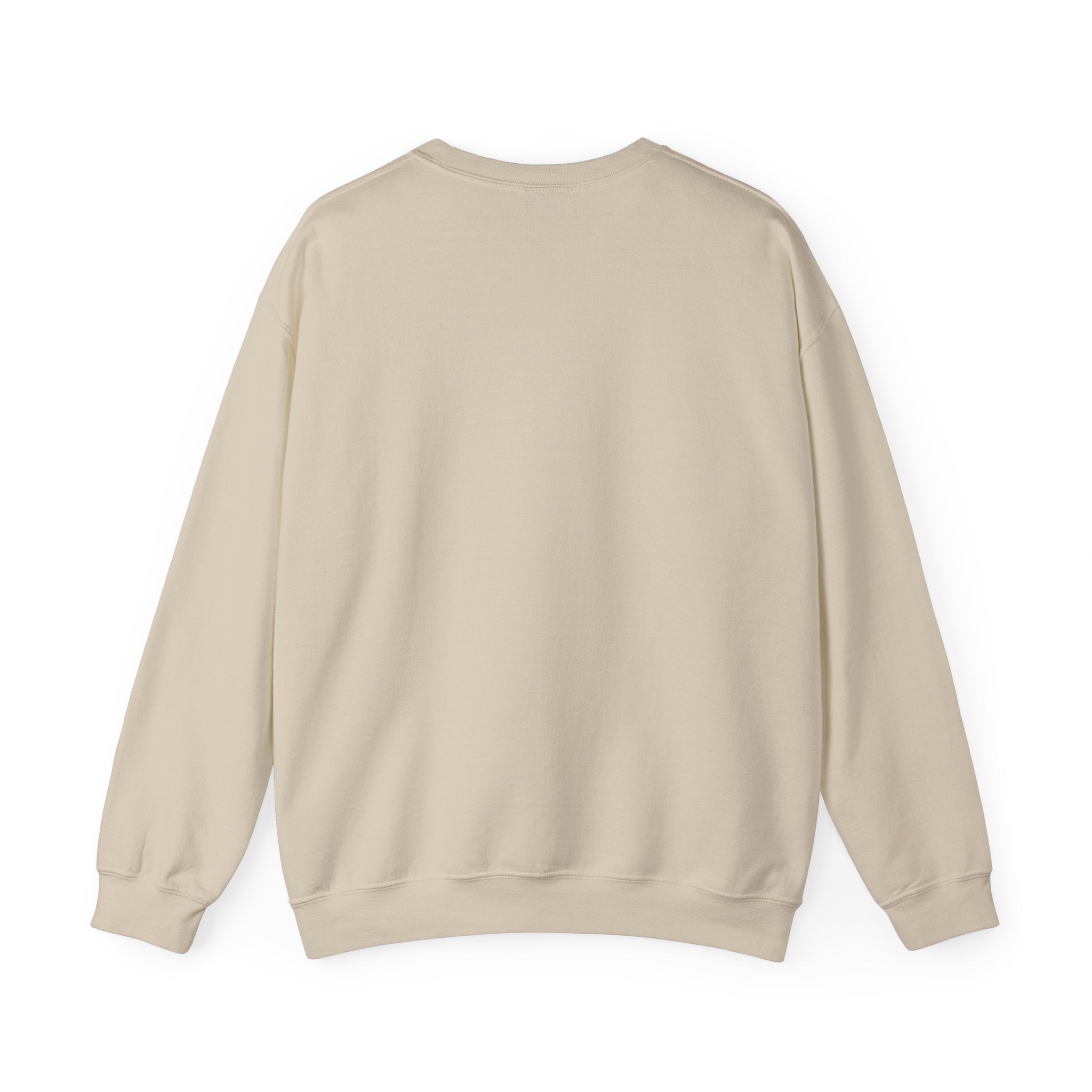 Albany Firebirds Crewneck Sweatshirt – Retro Logo Pullover