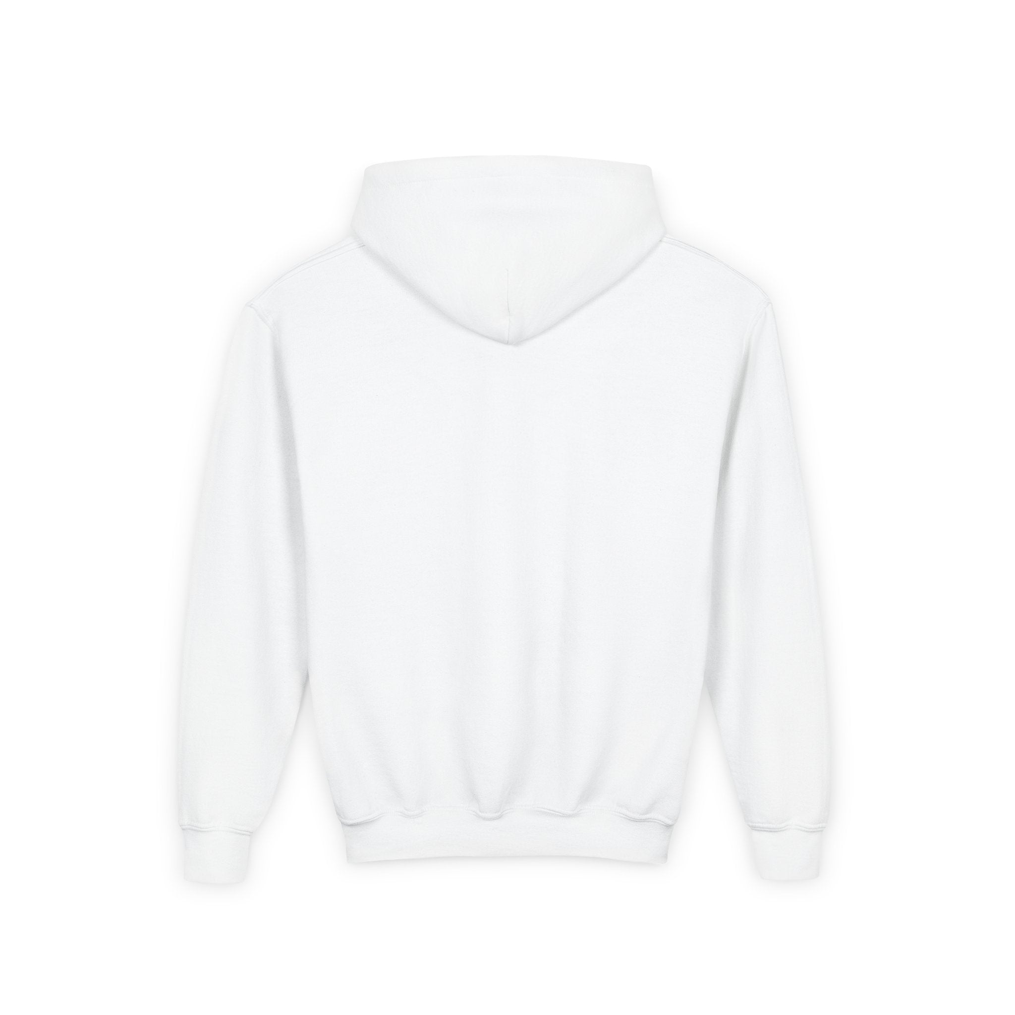 Albany Firebirds Youth Hoodie