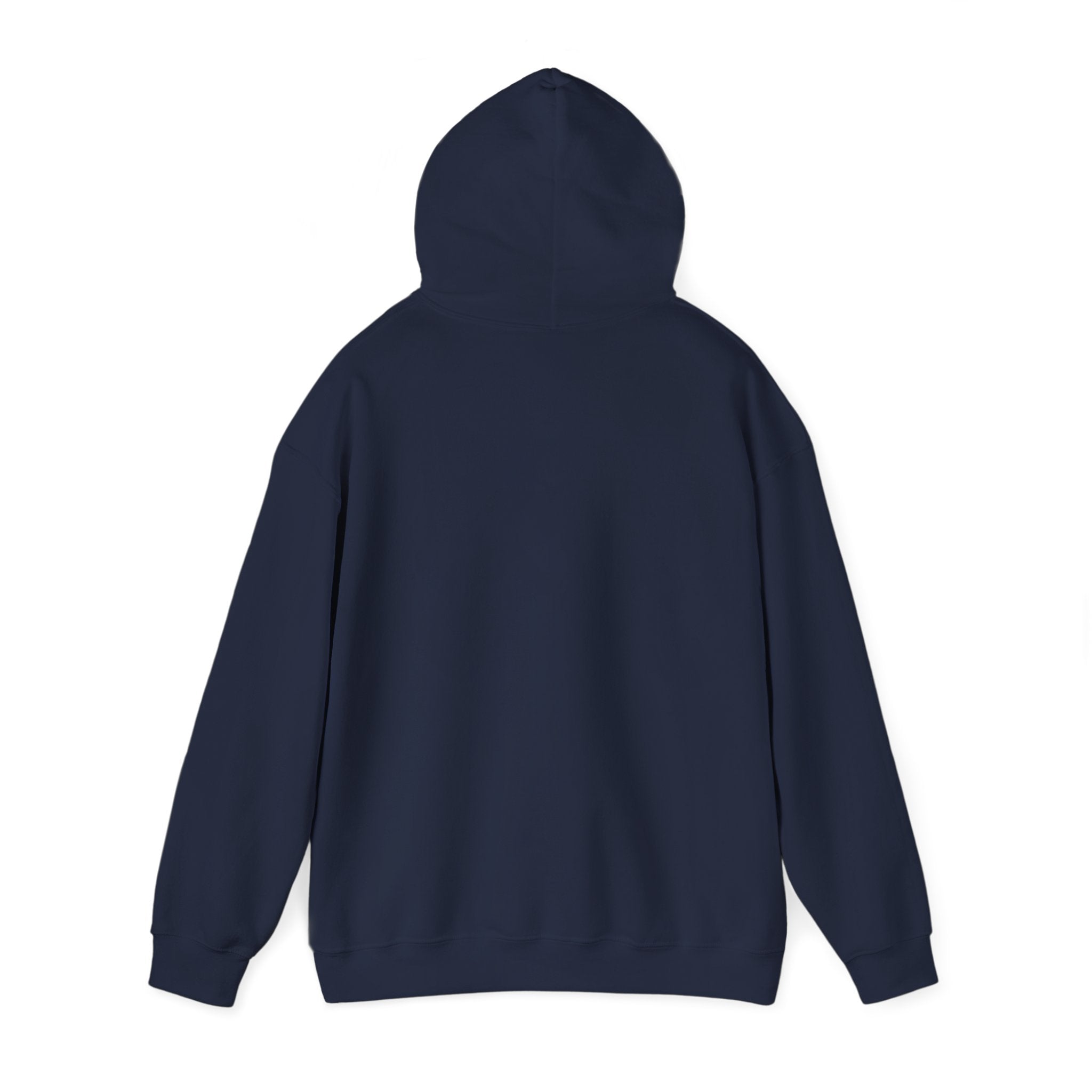 Albany Firebirds Hoodie