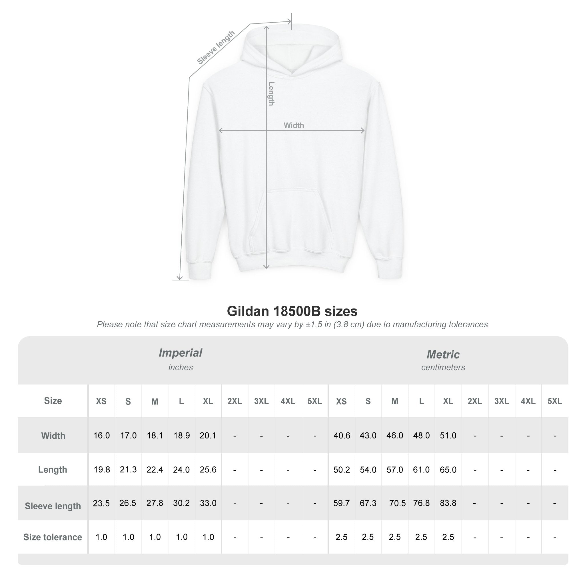Albany Firebirds Youth Hoodie