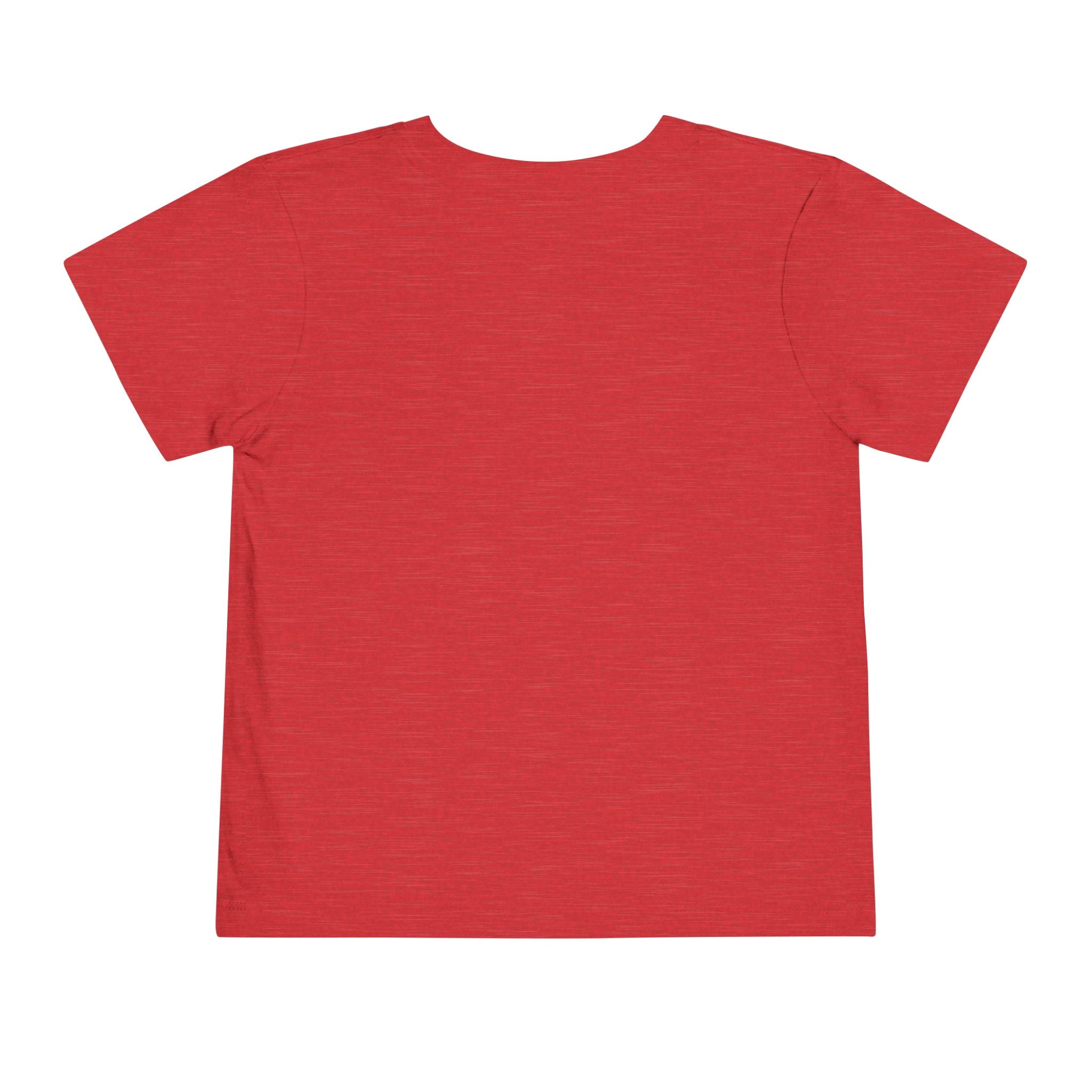 Toddler Tee — Albany Firebirds Logo Kids Shirt