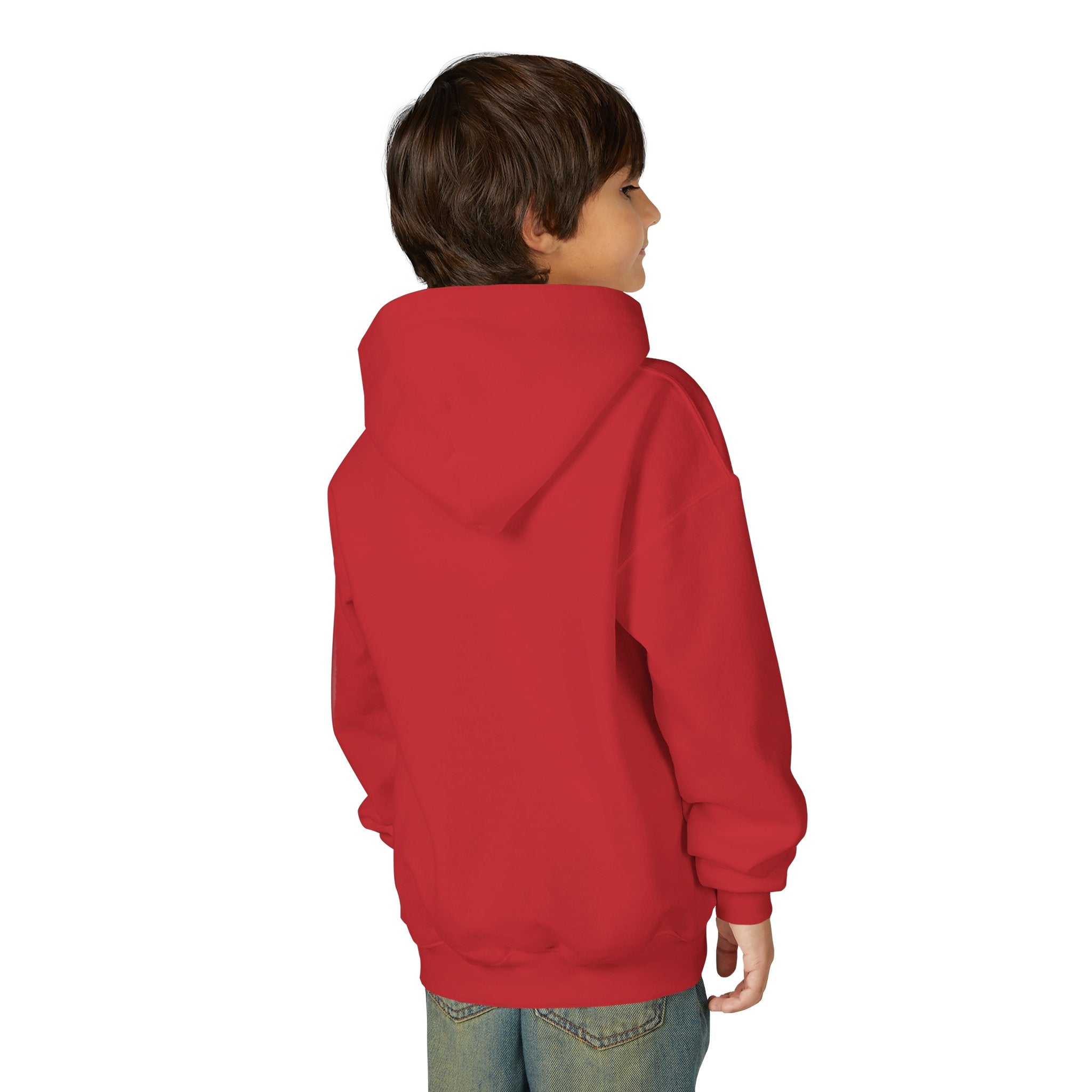 Youth Hoodie — Albany Firebirds Logo Pullover (Youth)